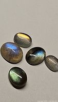 Five oval cabochon natural labradorite gemstones with flashes of golden, blue, and green colors.