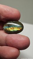 Close-up image of oval-shaped natural labradorite cabochon displaying blue and gold flash colors held between fingers.