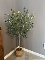 Full view of a large indoor imitation olive tree with green leaves and black fruit in a woven basket pot against a plain wall.