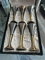 Top view of six metal champagne glasses arranged in a lined display case.