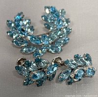 Brooch and earrings arranged together