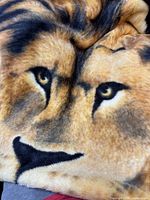 Close-up of lion face design on blanket showing colors and details.