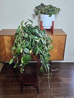 Two living plants placed on and beside a tall wooden plant stand, one plant trailing with long stems and green leaves, the other smaller with variegated leaves in a modern pot with wooden legs.