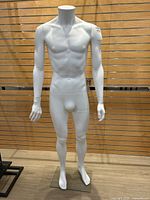 Full front view of the mannequin showing overall form and condition