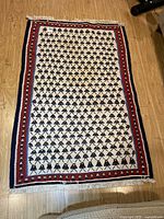 Full view of the Persian Kilim wool rug, showing the pattern, colors, and fringed edges.