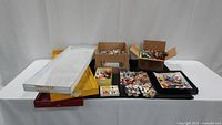Boxed and tray-organized small craft magnets with various designs on a table alongside the display trays.
