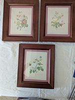 Three framed rose botanical prints laid out on a flat surface, showing the individual details of each print and their frames.