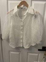 Zara white sheer blouse with polka dot texture on a hanger showing front view and puff sleeves