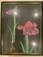 Full view of the framed pastel painting showing two amaryllis flowers and signature of artist.