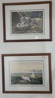 Photo showing both framed prints mounted on a wall, one above the other. Top print depicts a wolf with pups, bottom print depicts white geese by lake.