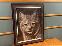 Framed limited edition print of a bobcat by Greg Blackwell against a neutral background, showing the clear artistic details and the wooden frame hanging on a wall.