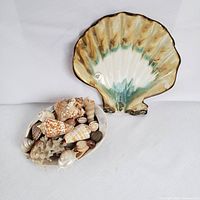 Photo shows a collection of assorted natural seashells alongside a large scallop-shaped pottery plate.