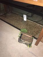 Full view of the glass aquarium showing textured substrate inside and miniature house mill outside on floor in front of aquarium