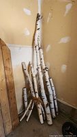 Bundle of birch branches leaning against a wall, tied with rope. Various sizes visible from small to large.