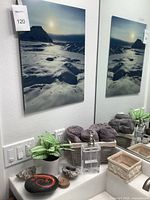 Canvas wall art in bathroom setting with towels and plant visible on counter