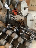 Front view showing rack loaded with round weight plates and assorted dumbbells on floor