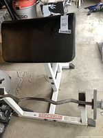 Photo of preacher curl bench showing padded armrest and attached EZ curl bar with weights.