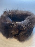 Photo of the entire fox fur stole folded, showing the dense dark brown fur and fox head details with closed snout and visible eye.