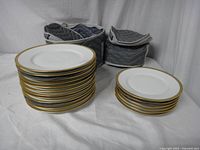 Set of 12 lunch plates and 6 side plates stacked with storage bags behind them.