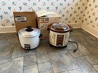 Photo of both appliances showing the Sanyo rice cooker, Rival Crock Pot, and the original box for the Crock Pot