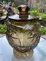 Front view of large amber glass owl cookie jar with lid on showing detailed owl face and textured feather patterns.