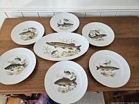Full set of six round fish plates and one oval platter displayed on wooden surface