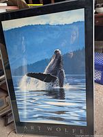 Large framed glass print of whale breaching out of water with mountain background.