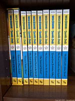 All ten volumes arranged in series order on a shelf, showing numbered spines and subtitles.