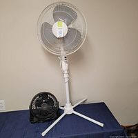 White 40-inch floor fan standing next to a black 11-inch table fan on a blue surface against a plain wall.