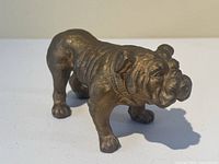 Front-left angle showing bulldog’s posture, wrinkles and collar detail