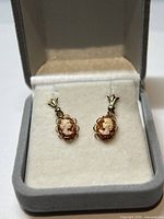 Pair of earrings displayed in grey velvet jewellery box, front view