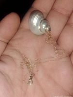 Hand holding the necklace showing the seashell pendant and gold chain, highlighting size and detail.