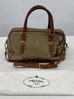 Front view of beige canvas handbag with brown leather handles and gold hardware atop white dust bag