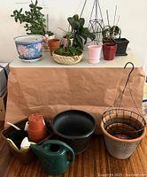 Wide view of assortment of ceramic and plastic pots, watering cans, wooden bowl, and live plants.