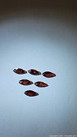 Photo of six marquis cut natural garnet gemstones showing deep red color and faceting details.