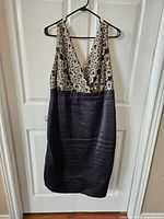 Full view of sleeveless plus size dress hanging on black hanger against white door. Bodice has gold and black sparkly floral embroidery, deep V neckline. Skirt is textured black with horizontal stripes.