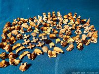 Wide overview of a large assortment of small porcelain animal figurines arranged on a blue fabric. Includes multiple animals such as cats, dogs, rabbits, turtles, birds, and butterflies.