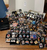 Overview of two white pin display trays and dozens of pins spread on tabletop alongside black storage binder