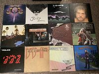 Top-down photo of 12 LP vinyl records showing cover artwork and artist names for identification.