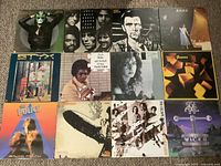 All 12 LPs arranged as a 3×4 grid on carpet