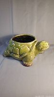 Full view of the green ceramic turtle planter showing the detailed shell, head, and legs.