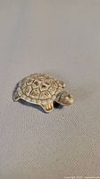 Top view of small turtle figurine showing detailed shell and body features.