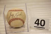 Baseball with Greg Luzinski signature visible, shown in clear plastic display stand.