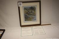 Framed print of a curled-up Swift Fox resting in a natural setting, shown with Certificate of Authenticity and an information sheet, with photo taken to show full contents of the lot.