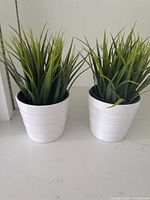 Two of the six artificial grass plants in white pots displayed on a countertop