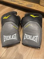 Front view showing Everlast branding and EverShield cuff
