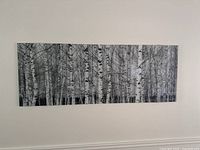 Full view of glass birch forest wall art mounted on wall
