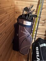 Full view of Wilson golf bag with clubs