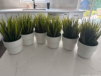 Six artificial grass plants lined up on countertop
