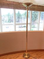 Full view brass torchiere floor lamp
